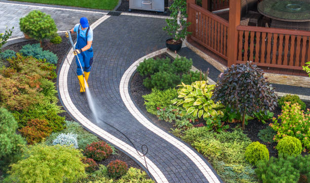 Best Pressure Washing Driveway  in USA